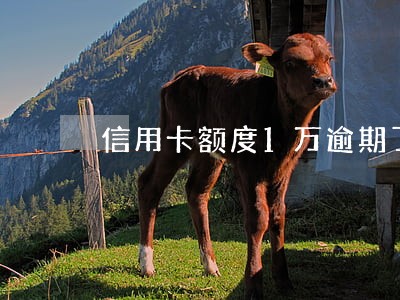 信用卡额度1万逾期了会怎么样 信用卡额度1万逾期了会怎么样