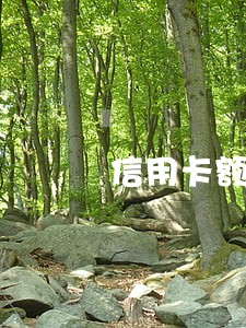信用卡额度2万逾期半年 信用卡额度2万逾期半年