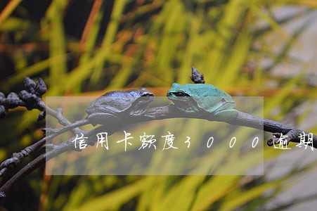 信用卡额度3000逾期两年
