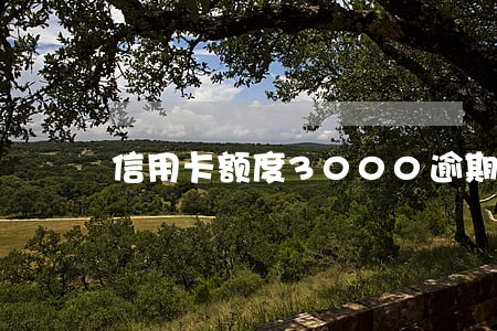 信用卡额度3000逾期四年 信用卡额度3000逾期四年