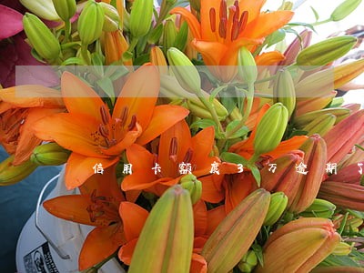 信用卡额度3万逾期了2年会抓人 信用卡额度3万逾期了2年会抓人