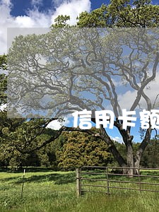 信用卡额度6万逾期会怎样 信用卡额度6万逾期会怎样