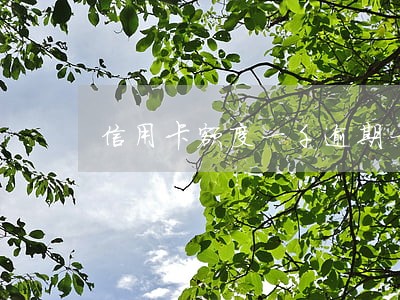 信用卡额度一千逾期一年 信用卡额度一千逾期一年