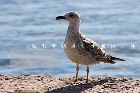 信用卡额度七千逾期三年 信用卡额度七千逾期三年
