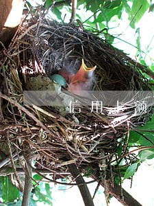 信用卡额度七千逾期三月