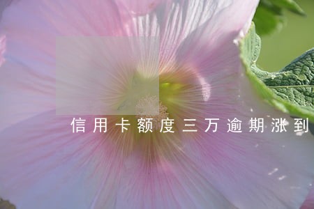 信用卡额度三万逾期涨到五万