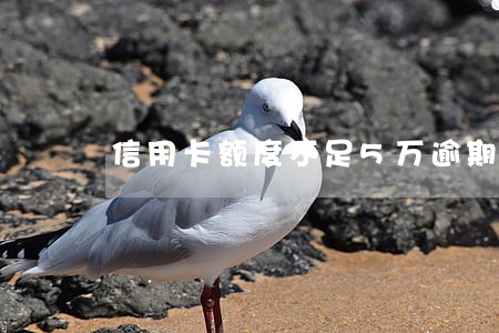 信用卡额度不足5万逾期 信用卡额度不足5万逾期