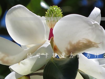 信用卡额度为0为什么有逾期 信用卡额度为0为什么有逾期