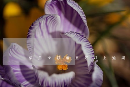 信用卡额度五万以上逾期半年了会怎么样 信用卡额度五万以上逾期半年了会怎么样