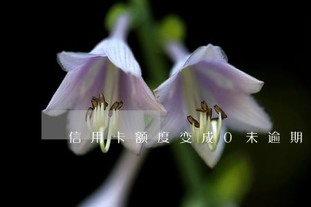 信用卡额度变成0未逾期 信用卡额度变成0未逾期