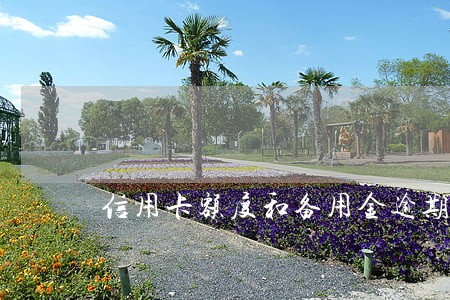 信用卡额度和备用金逾期了怎么办 信用卡额度和备用金逾期了怎么办