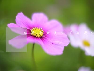 信用卡额度四万逾期账单五万 信用卡额度四万逾期账单五万