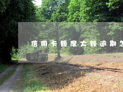 信用卡额度大额逾期怎么办