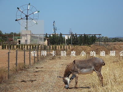 信用卡额度小的逾期会怎么样