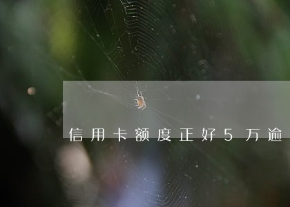 信用卡额度正好5万逾期 信用卡额度正好5万逾期