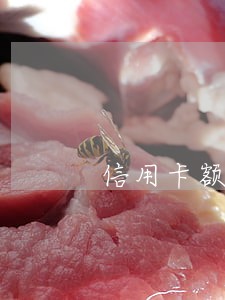 信用卡额度超5万逾期