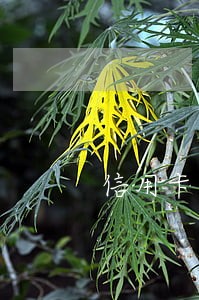 信用卡首催逾期提醒