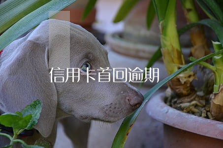 信用卡首回逾期