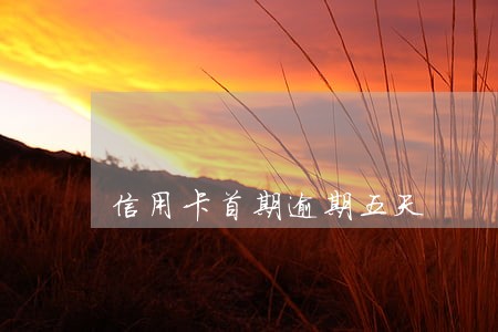 信用卡首期逾期五天