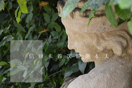 信用卡首次逾期4天 信用卡首次逾期4天