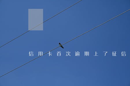 信用卡首次逾期上了征信影响大吗 信用卡首次逾期上了征信影响大吗