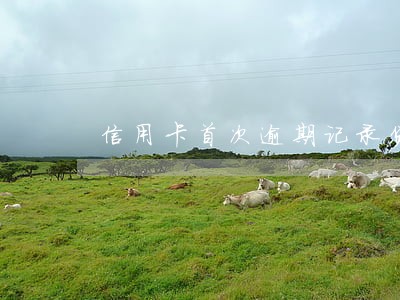 信用卡首次逾期记录贷款 信用卡首次逾期记录贷款