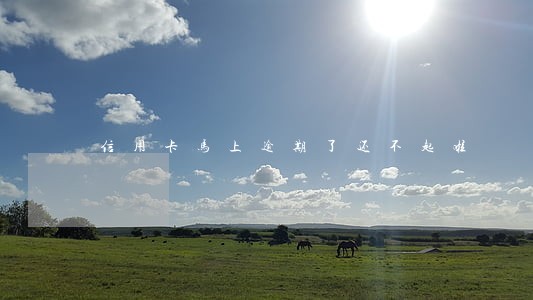 信用卡马上逾期了还不起啦 信用卡马上逾期了还不起啦