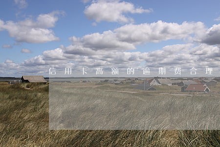 信用卡高额的逾期费合理吗 信用卡高额的逾期费合理吗