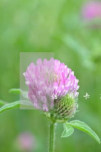 信用卡高风险逾期20天有事吗 信用卡高风险逾期20天有事吗