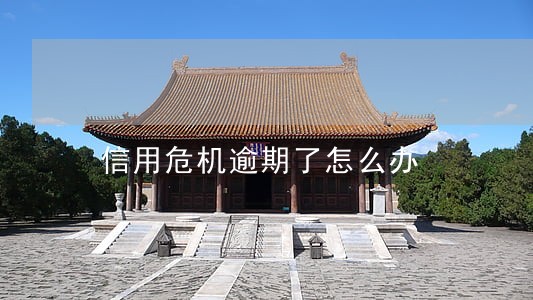 信用危机逾期了怎么办