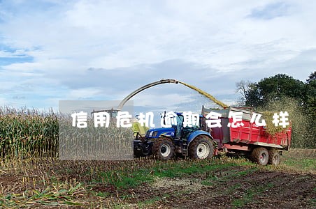 信用危机逾期会怎么样 信用危机逾期会怎么样