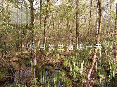信用发生逾期一天 信用发生逾期一天
