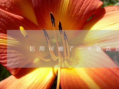 信用可晚了一天还款是逾期吗 信用可晚了一天还款是逾期吗