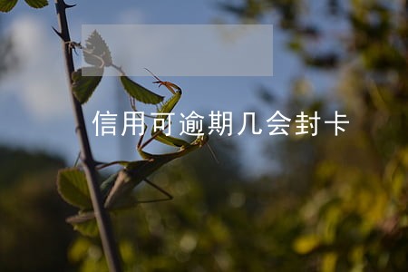 信用可逾期几会封卡 信用可逾期几会封卡