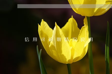 信用可逾期情况说明 信用可逾期情况说明