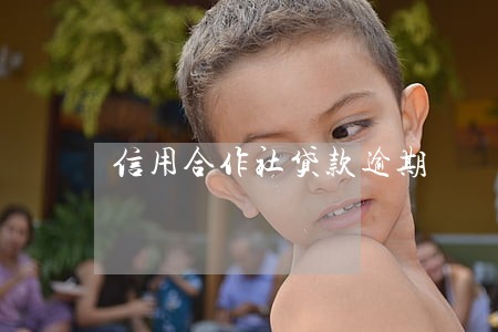 信用合作社贷款逾期 信用合作社贷款逾期