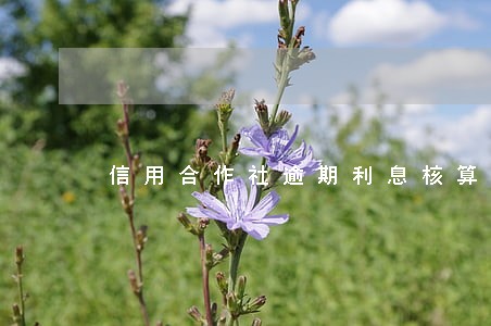 信用合作社逾期利息核算 信用合作社逾期利息核算