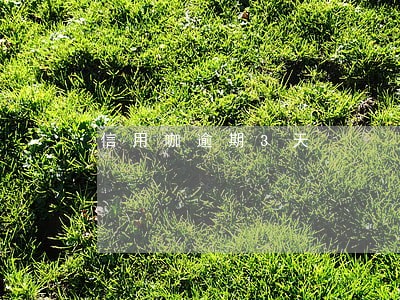 信用咖逾期3天 信用咖逾期3天