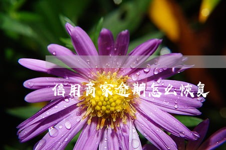 信用商家逾期怎么恢复 信用商家逾期怎么恢复