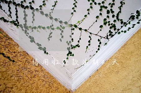 信用啦还款逾期4天 信用啦还款逾期4天