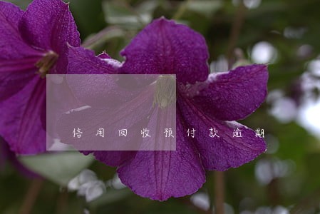 信用回收预付款逾期 信用回收预付款逾期