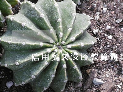 信用多久没还款算逾期 信用多久没还款算逾期