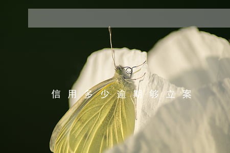 信用多少逾期够立案 信用多少逾期够立案