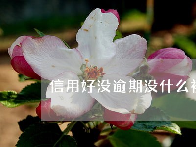 信用好没逾期没什么被拒