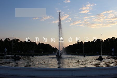 信用如何查逾期记录 信用如何查逾期记录