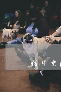 信用宝p2p逾期了 信用宝p2p逾期了