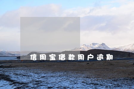 信用宝借款用户逾期 信用宝借款用户逾期