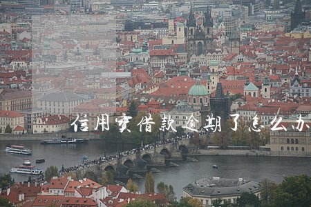 信用宝借款逾期了怎么办 信用宝借款逾期了怎么办