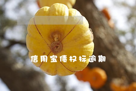信用宝债权标逾期 信用宝债权标逾期