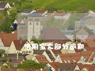 信用宝大部分逾期 信用宝大部分逾期